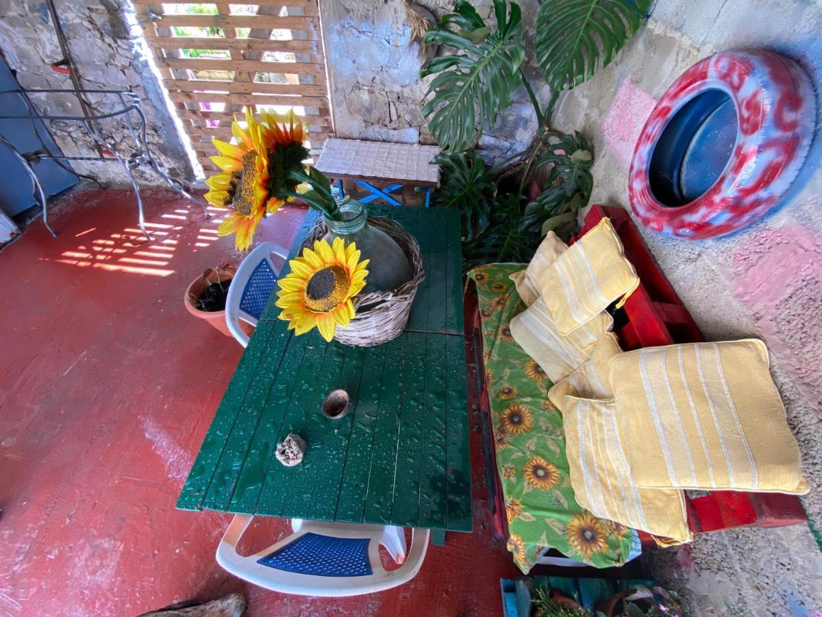 Shaka Guest House Giba المظهر الخارجي الصورة