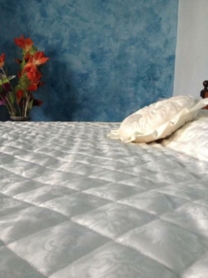 Shaka Guest House Giba المظهر الخارجي الصورة